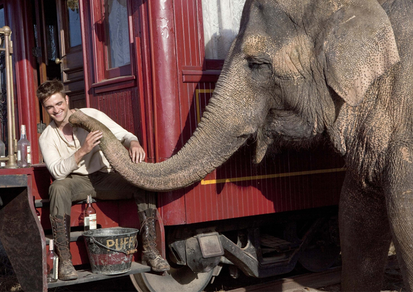 Воды слонам