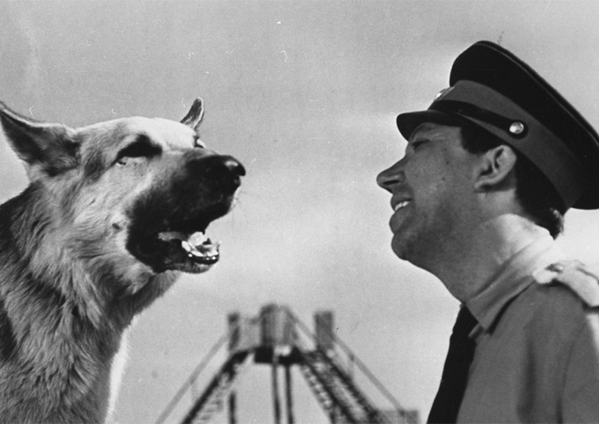 Ко мне, Мухтар!