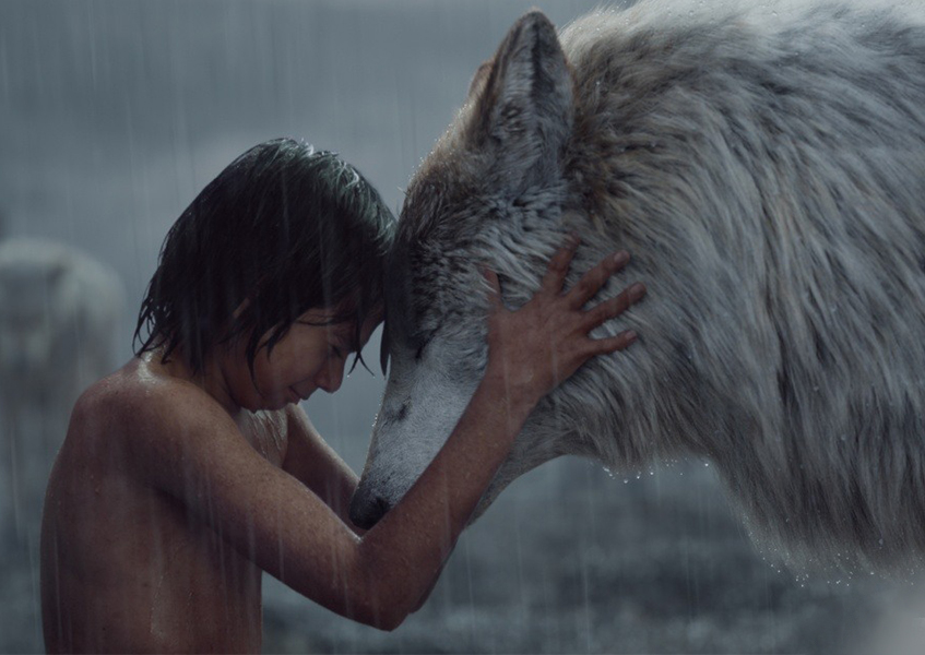 Книга джунглей