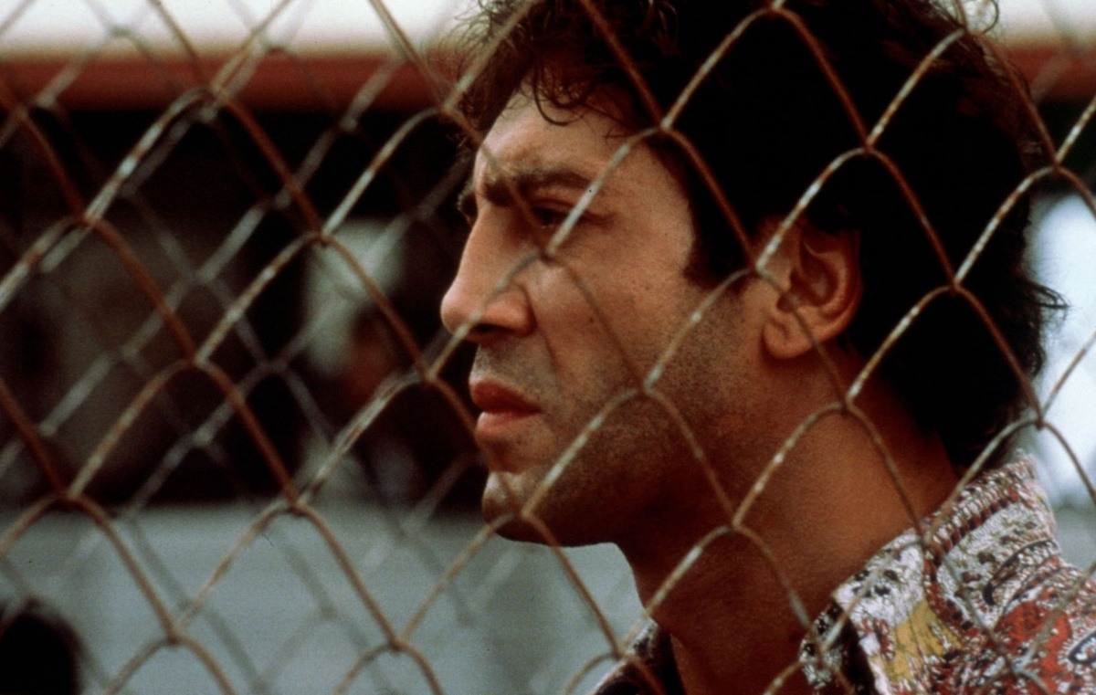 Пока не наступит ночь