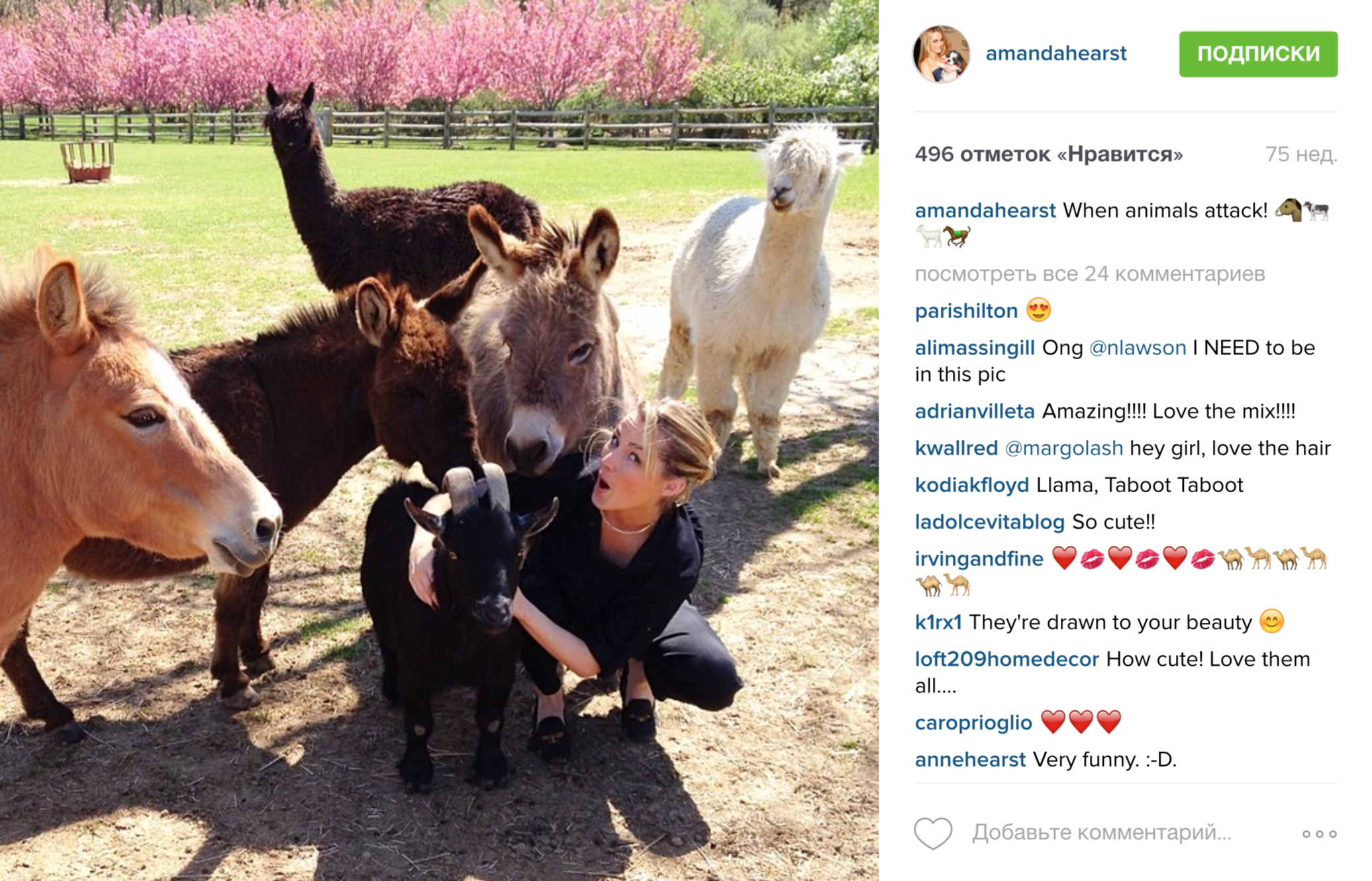 аманда херст