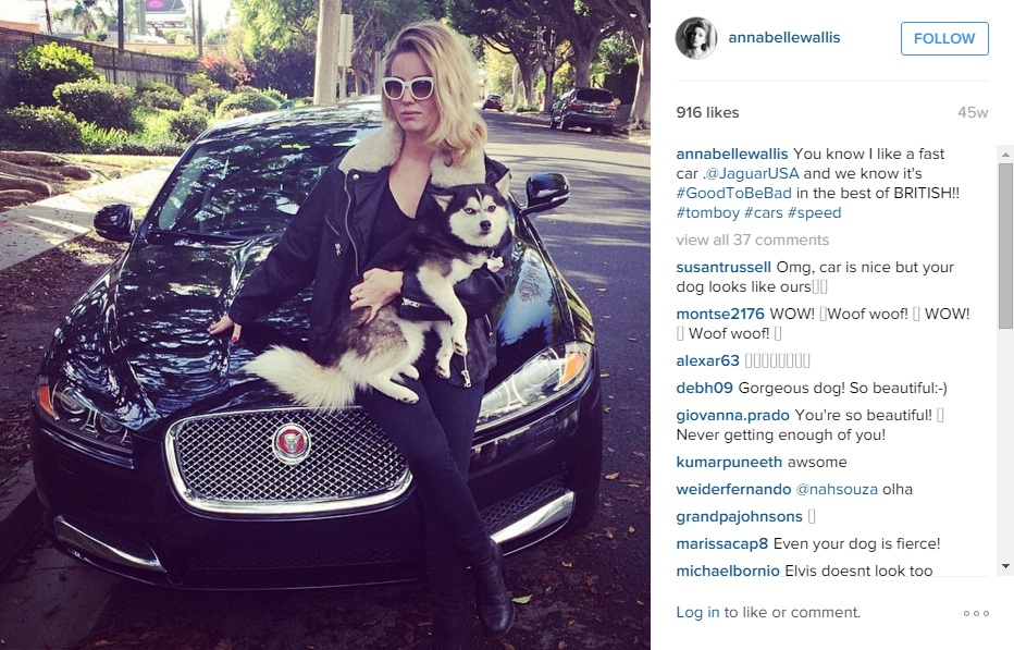 Аннабелль Уоллис