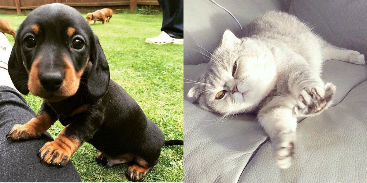 лайки в инстаграм