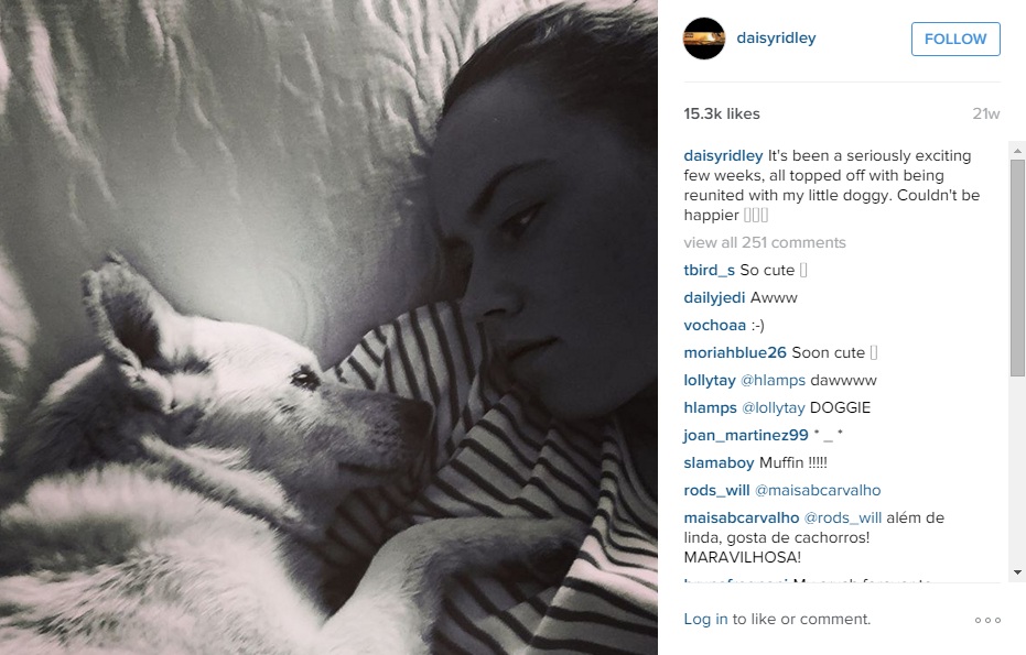 дэйзи ридли