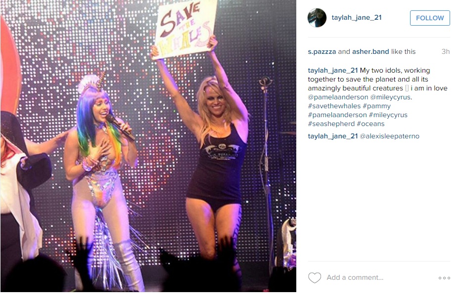 Майли Сайрус и Памела Андерсон