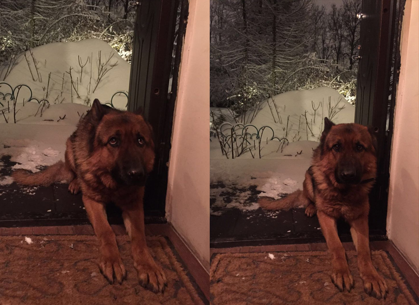 Саша Стриженова Блиц