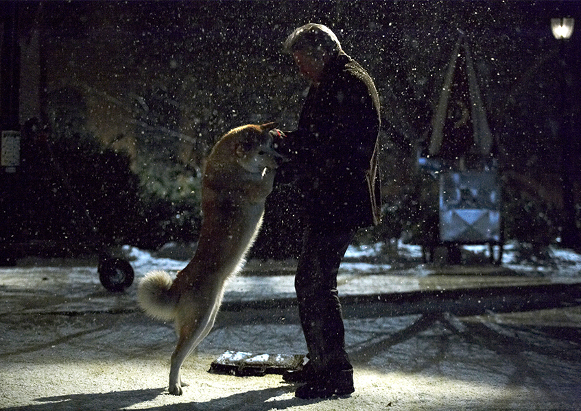 Хатико: Самый верный друг