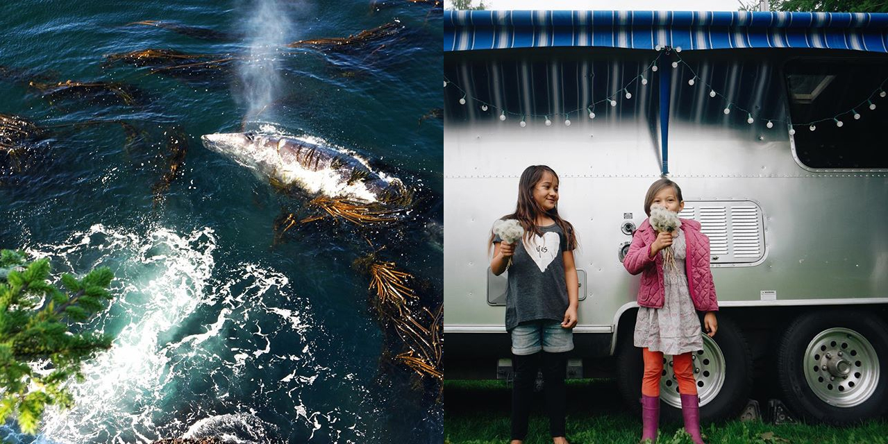 Семья США инстаграм