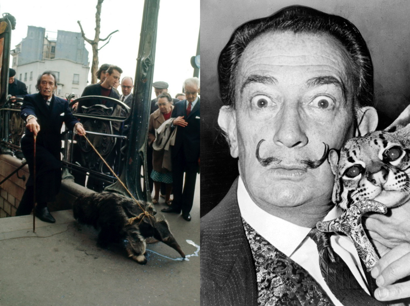 Экзотические животные звезд