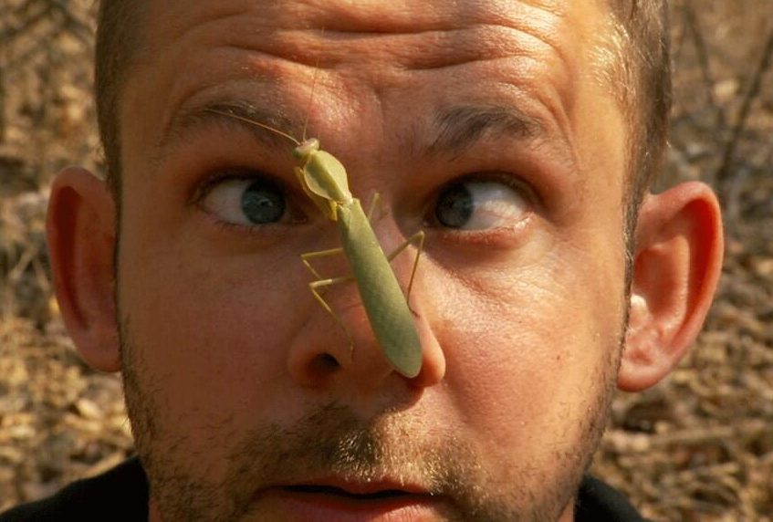 Экзотические животные звезд