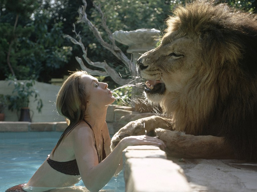 Экзотические животные звезд