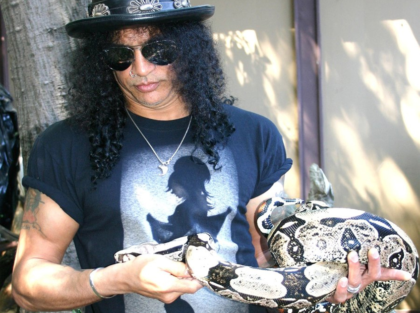 Экзотические животные звезд