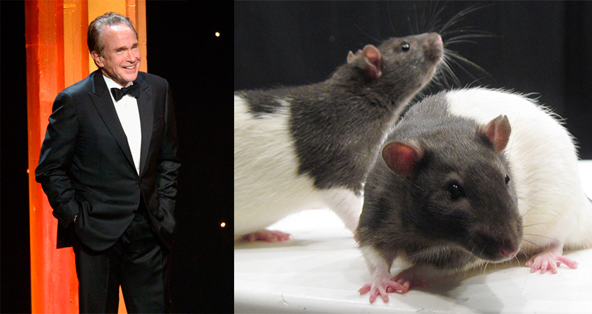 Уоррен Битти