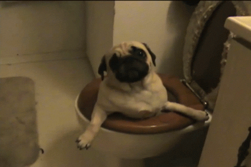 Общественный туалет