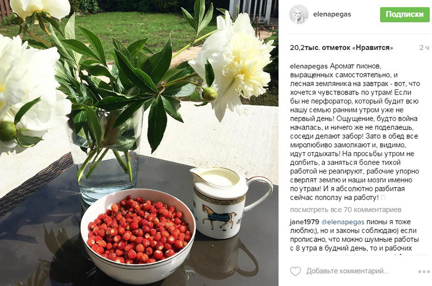 Елена Летучая