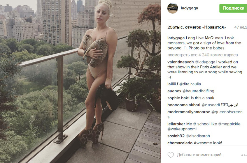 Леди Гага