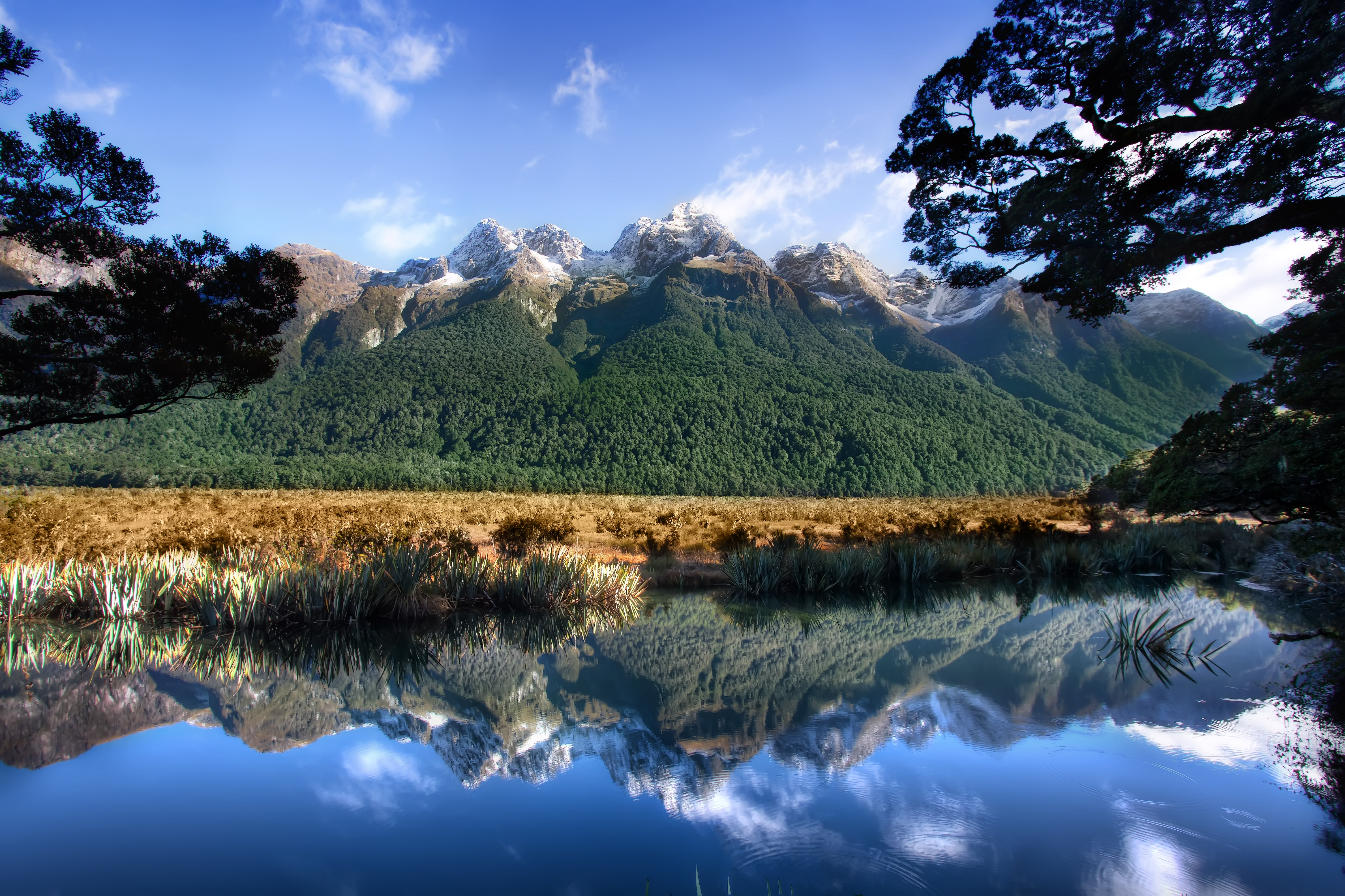 Что такое природа. Новая Зеландия. Природа. Лес горы. Супер пейзаж.