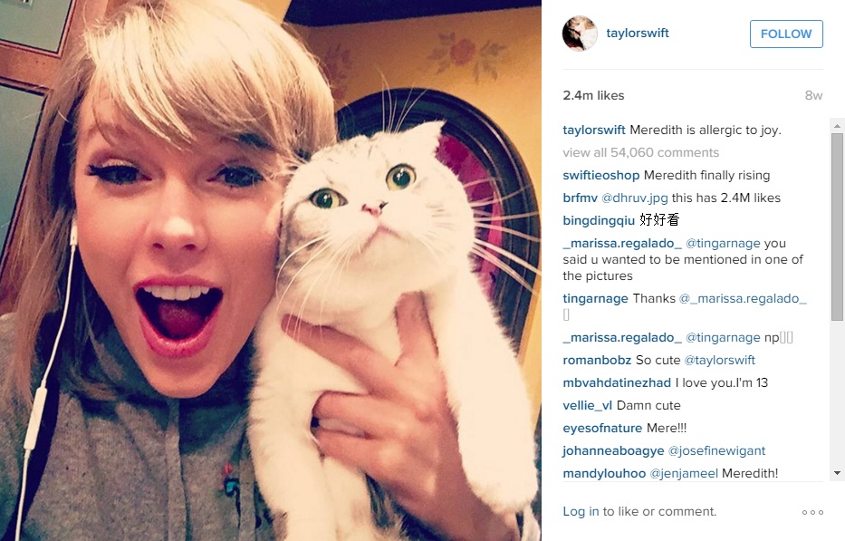 тейлор свифт