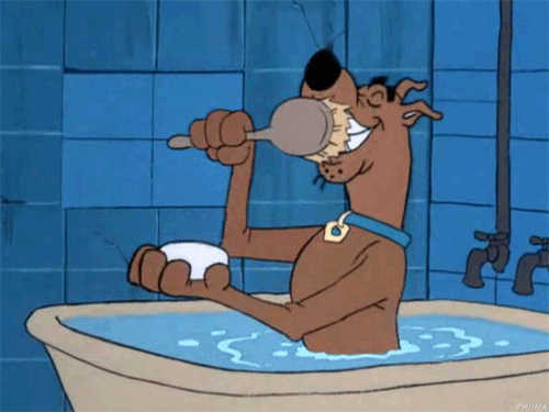 вредные полезные привычки