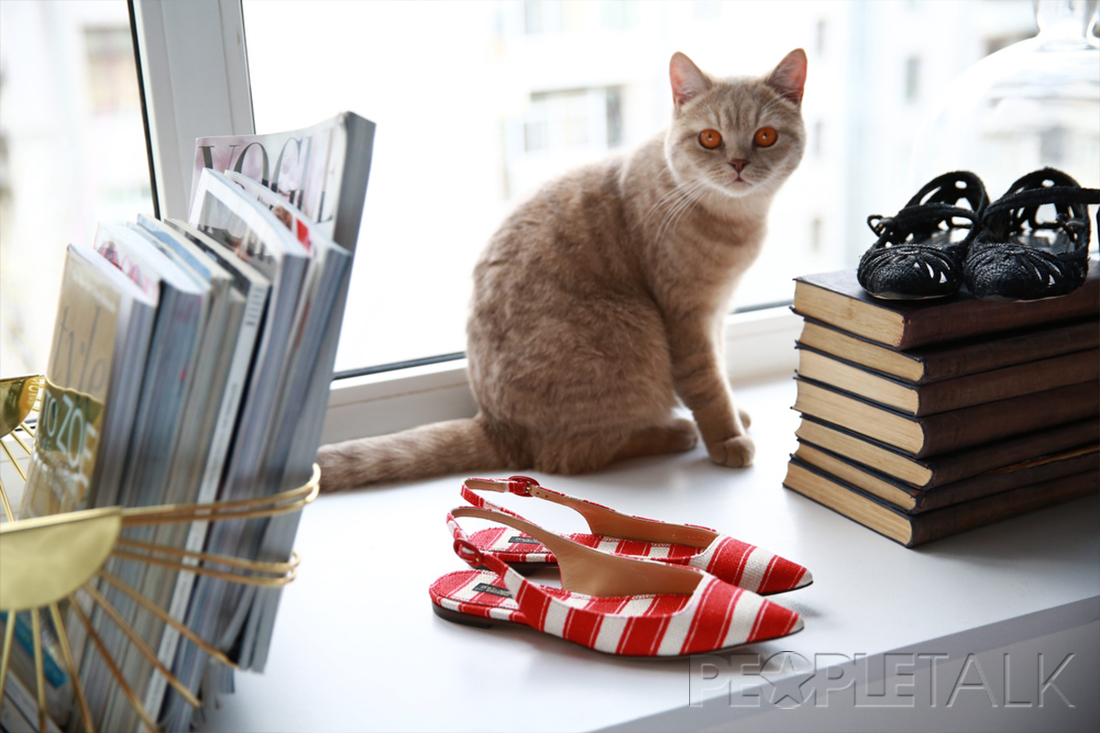 Модный гардероб недели: стилист Анастасия Мальцева