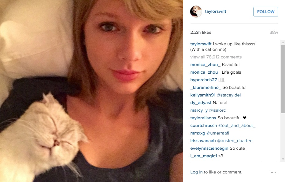 тейлор свифт