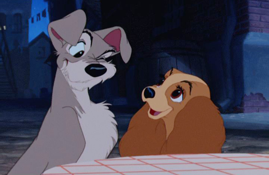 Леди и Бродяга