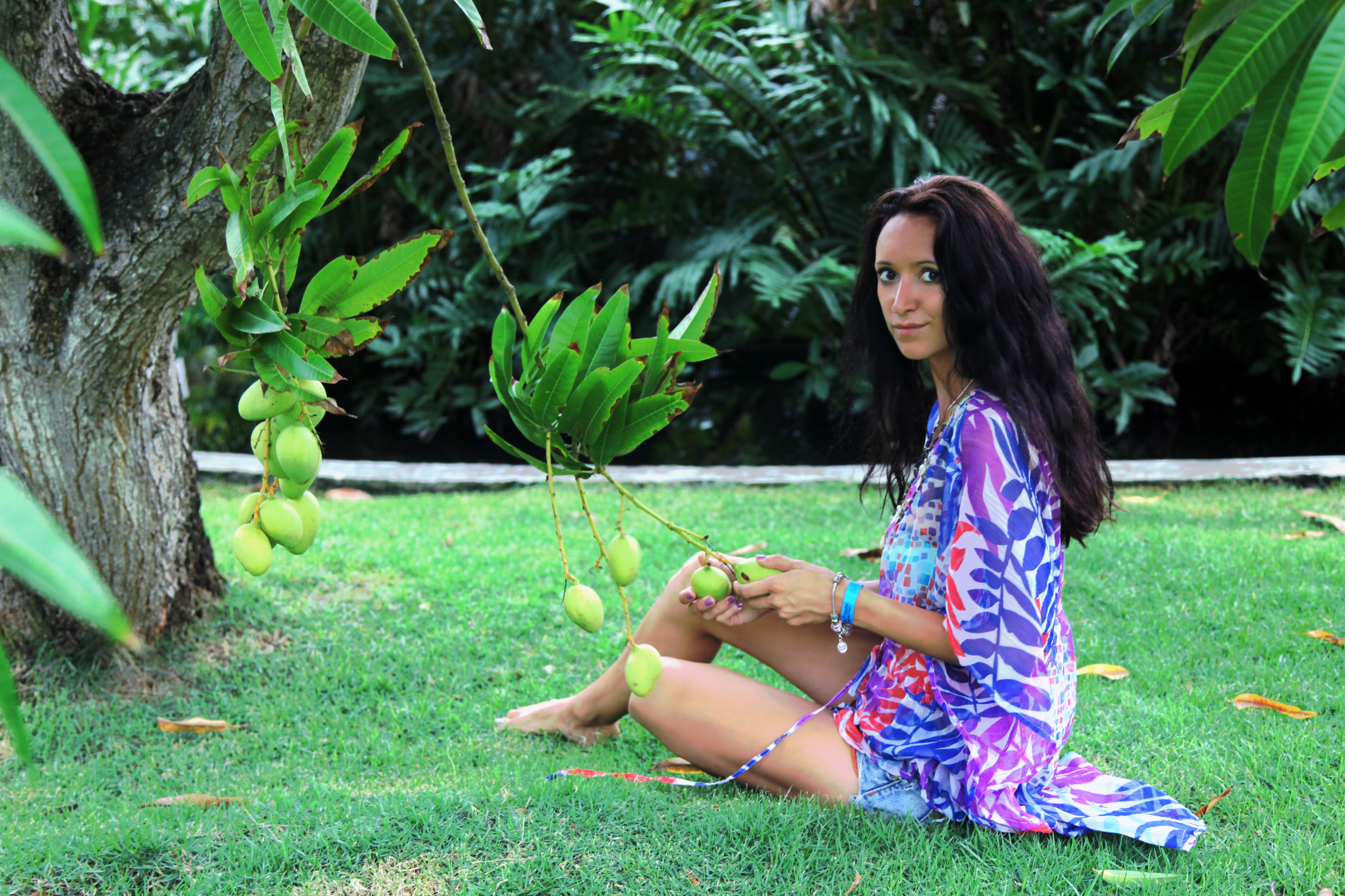 переезд в доминикану