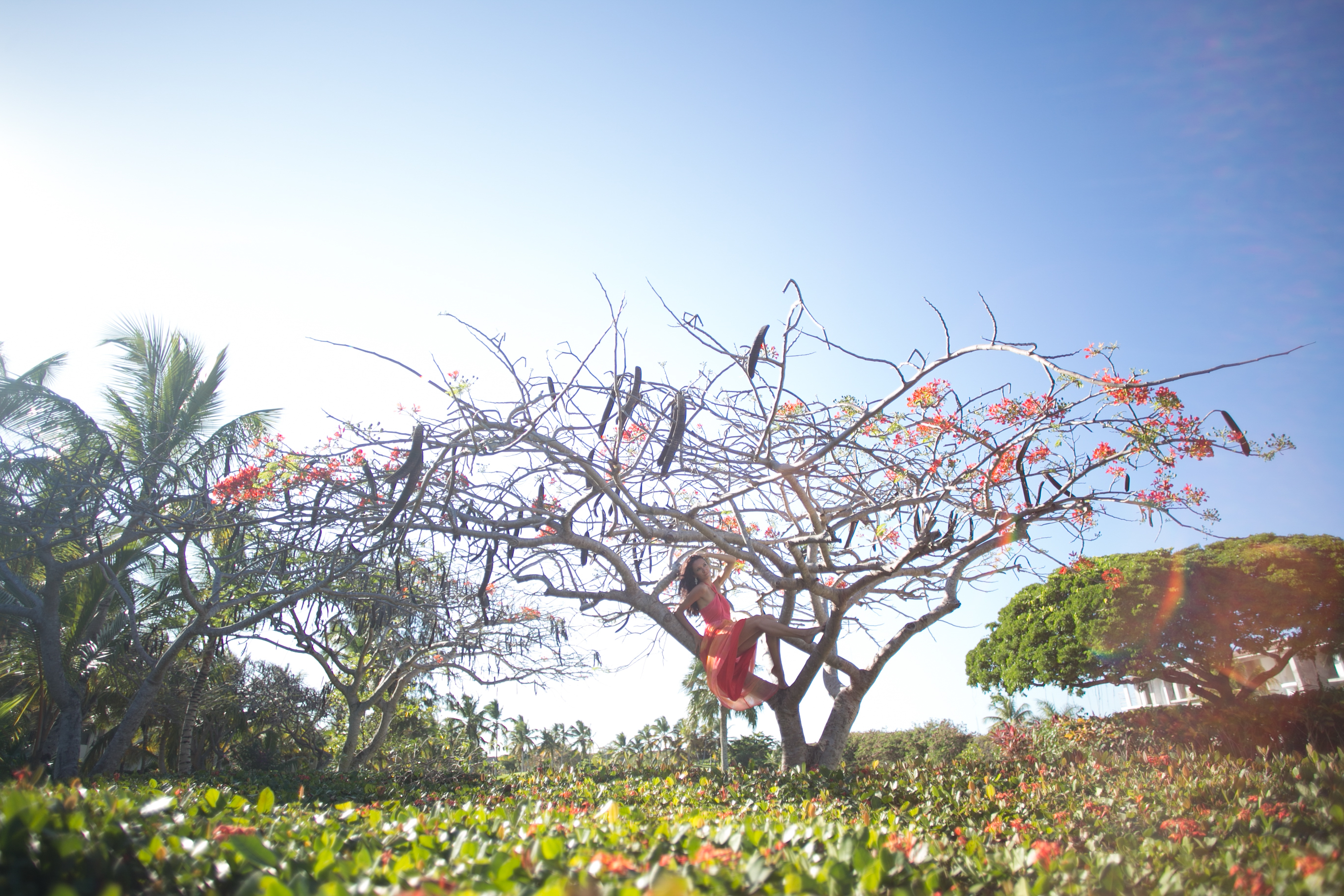 переезд в доминикану