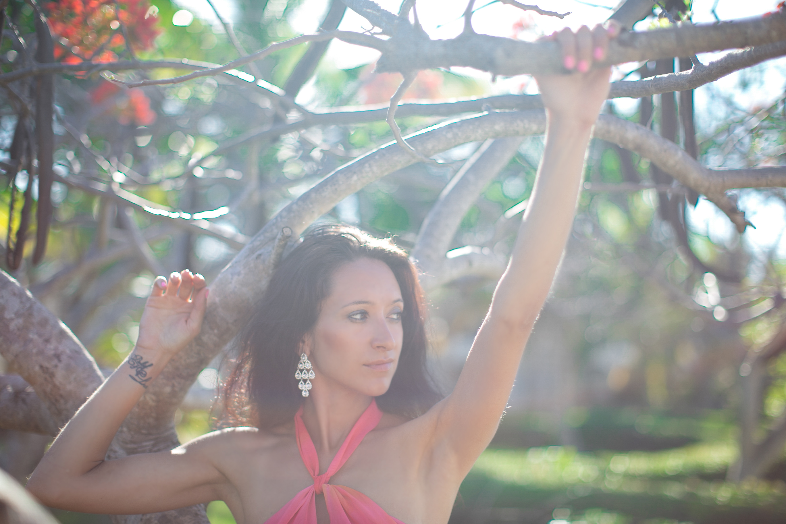 переезд в доминикану