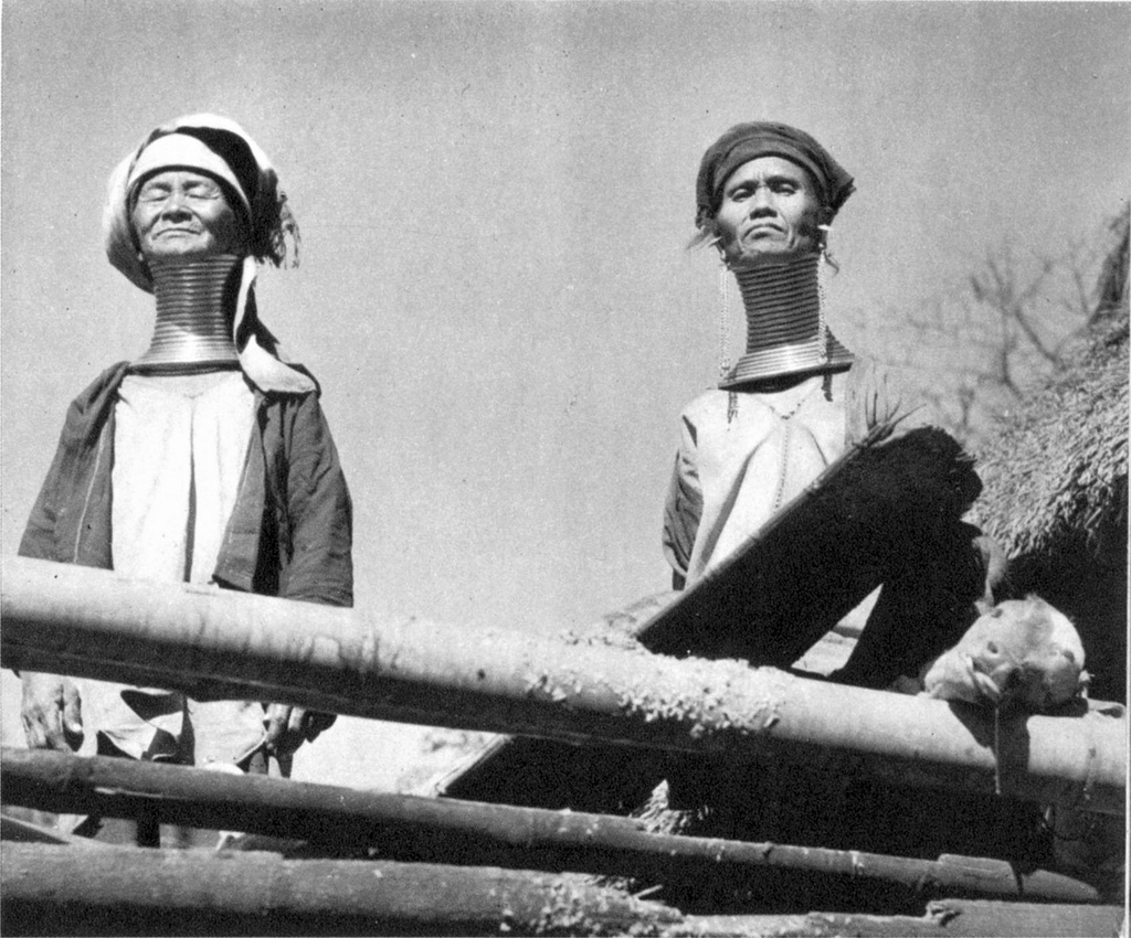 жертвы красоты женщины с шеями жирафов