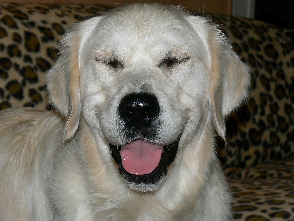 силиконовая грудь