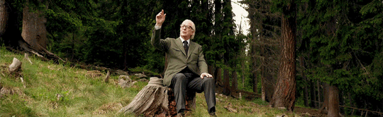 Фильмы к просмотру от звезд: Мария Ивакова