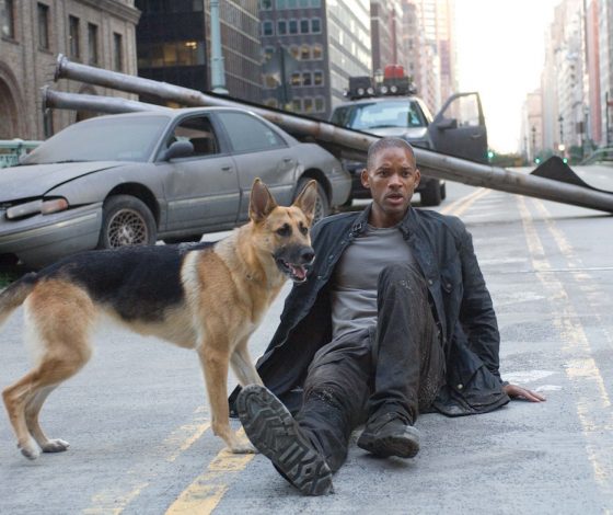 Уилл Смит пытался забрать себе собаку после съемок фильма «Я — легенда»