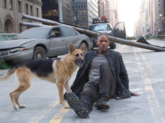 Уилл Смит пытался забрать себе собаку после съемок фильма «Я — легенда»