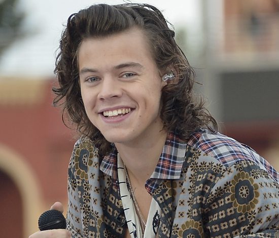 Гарри Стайлс стал жертвой вандалов