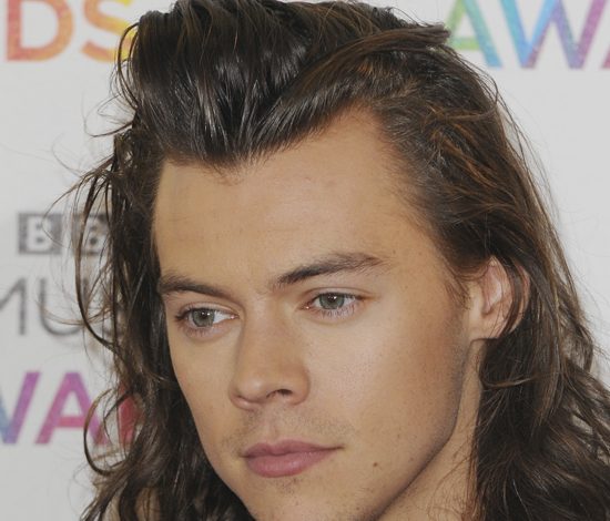 Гарри Стайлз уходит в армию?
