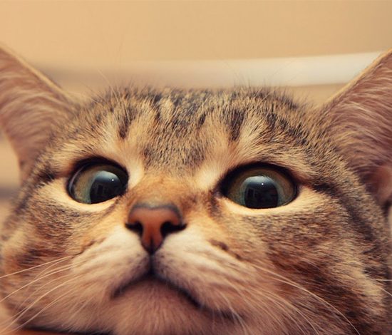 Доброе утро! Это видео сделает твой день!