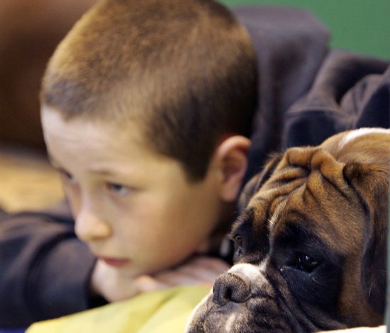 Пес впервые встречает мальчика с синдромом Дауна