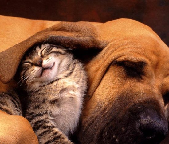 Это видео сделает твое утро незабываемым