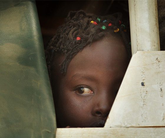 Папа, я уезжаю в Африку к крокодилам!