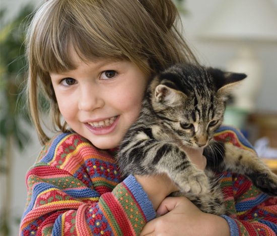 33 момента, которые восстановят твою веру в человечество