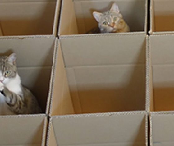 Японский лабиринт для котиков