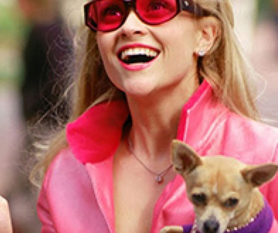 Интересные факты о фильме «Блондинка в законе»