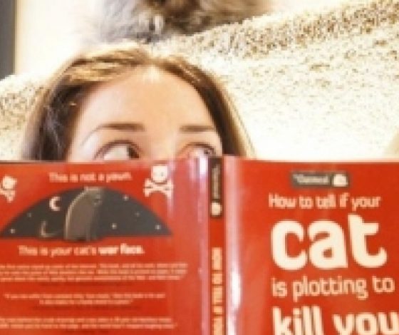 Как книги помогают наладить жизнь