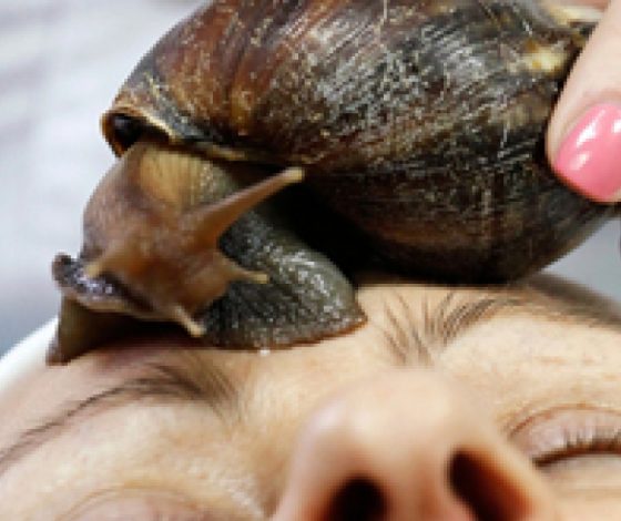 Топ-15 косметических средств, вызывающих ужас