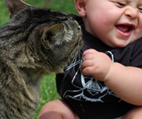 Как дети общаются с котами