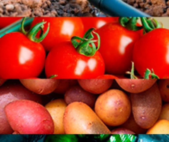 Топ-15 израильских изобретений, которые изменили мир