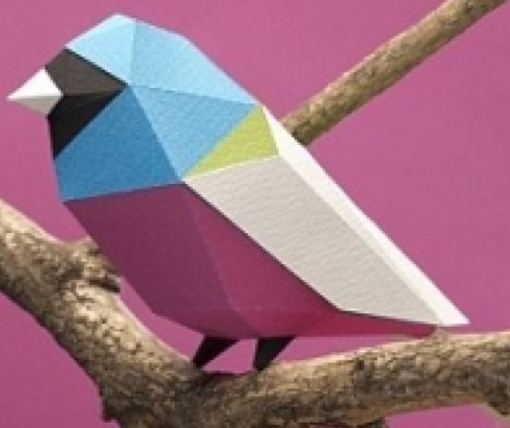 Оригами аргентинских мастеров покоряет мир