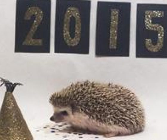 Ёжик в календаре