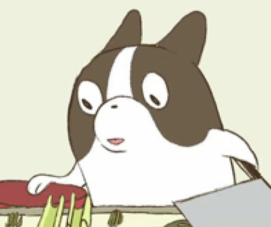 Как собака приготовила ужин